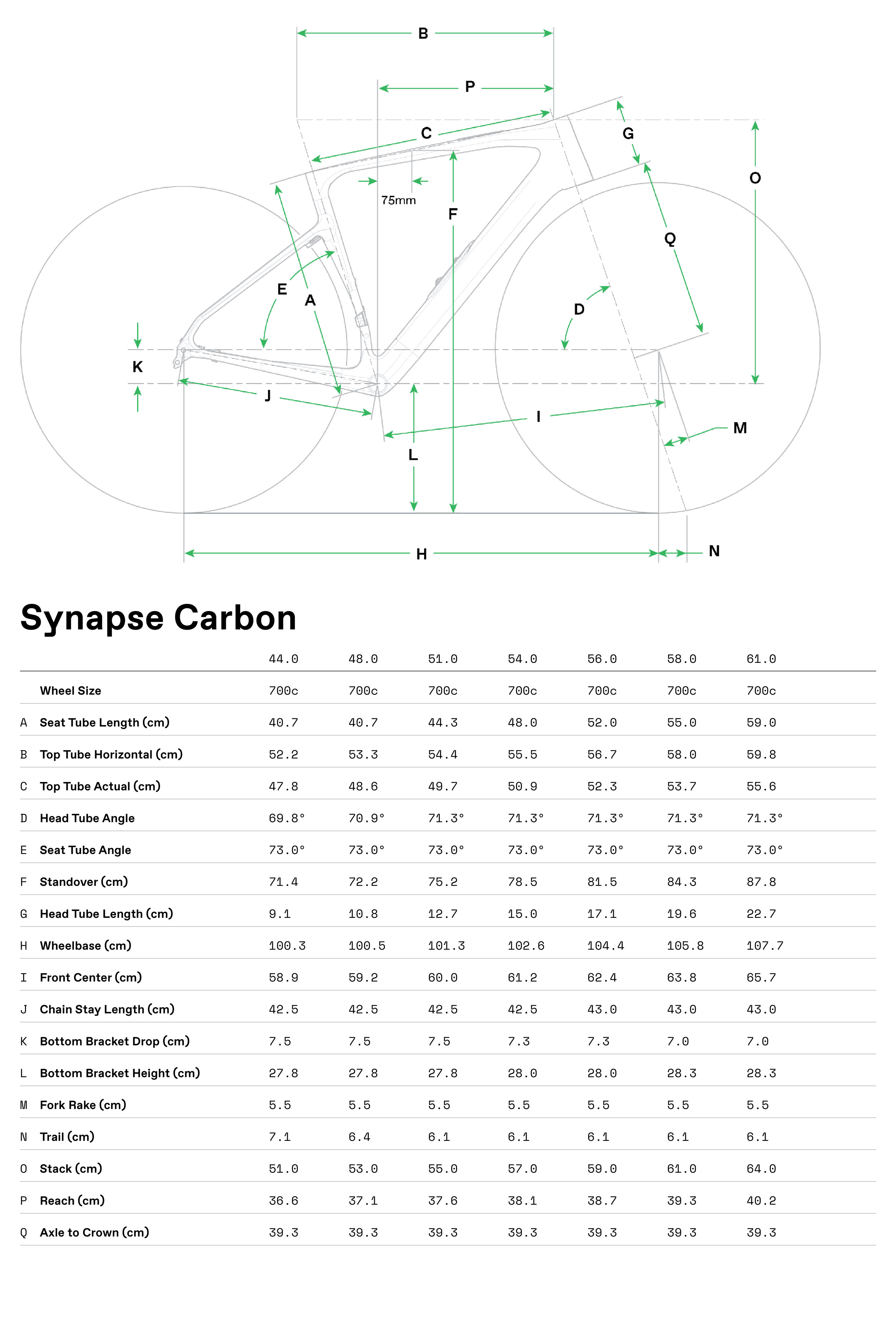 C25_Synapse_GeoTable_carbon